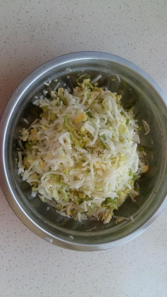 莲花白用淡盐水浸泡二十分钟，切碎白萝卜和莲花白，撒盐用手攥干