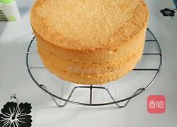 巧克力淋酱草莓蛋糕的做法图解10