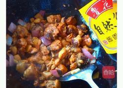 红烧鸡肉的做法图解9