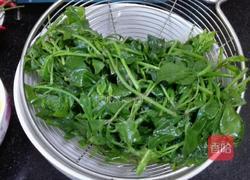 刺五加炒鸡蛋的做法图解3