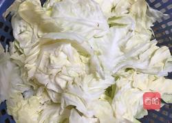 清炒卷心菜的做法图解2