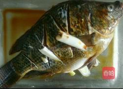 红烧罗非鱼的做法图解2