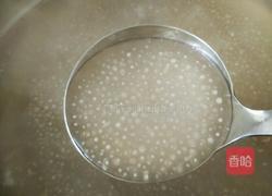 西米露的做法图解2