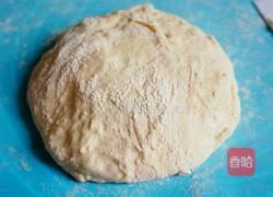 番茄披萨的做法图解15