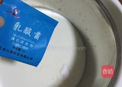 川秀自制酸奶的做法图解3