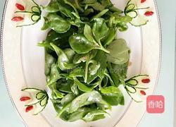 凉拌穿心莲的做法图解4