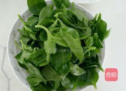 凉拌穿心莲的做法图解1