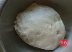 花式蒸馒头的做法图解4