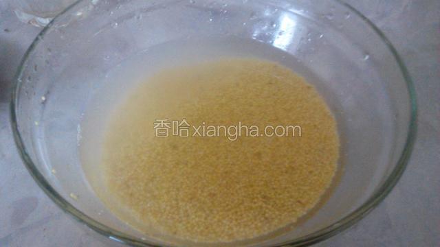 小米淘洗干净