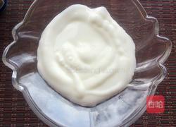 木瓜酸奶的做法图解4