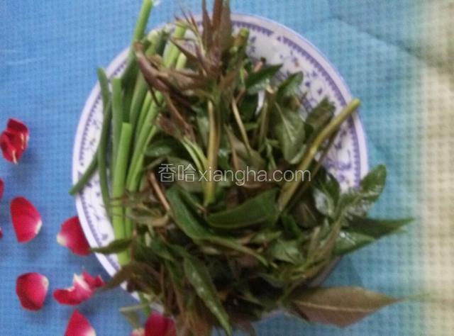 洗净的香椿，蒜薹，准备好，