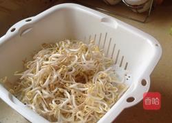 炒豆芽菜的做法图解2