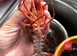 啤酒龙虾的做法图解2