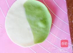 木耳香菇饺子的做法图解9