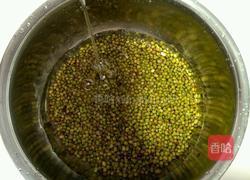 自制绿豆芽的做法图解2