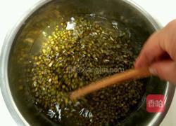 自制绿豆芽的做法图解3