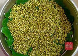 自制绿豆芽的做法图解7