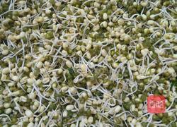 自制绿豆芽的做法图解10