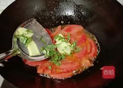 番茄焖鲈鱼的做法图解4