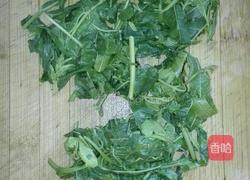 香椿炒蛋的做法图解5