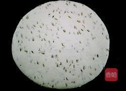 发面大饼的做法图解5