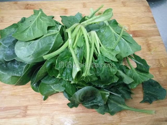 菠菜切断。