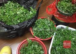 艾饼的做法图解1