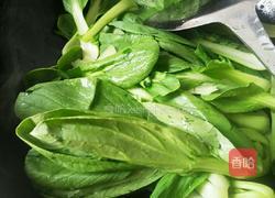 炒油菜的做法图解4