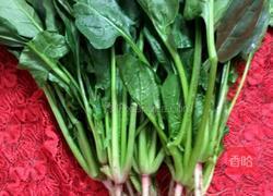 蒜蓉炒菠菜的做法图解1