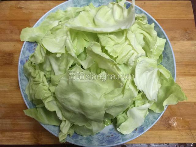 将卷心菜洗干净、再手撕片备用