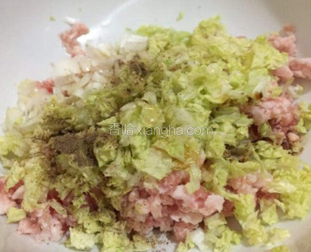 猪肉馅加入白菜，青蒜，葱，姜，胡椒粉，生抽，油，盐，香油顺时针搅拌均匀上劲
