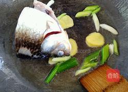 鲫鱼头豆腐汤的做法图解4