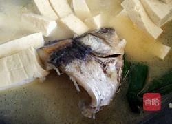 鲫鱼头豆腐汤的做法图解7