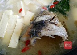 鲫鱼头豆腐汤的做法图解8