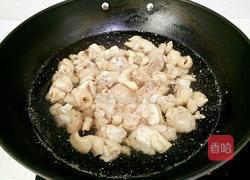 红烧鸡肉的做法图解3