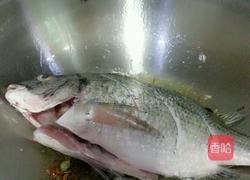 清炖鱼的做法图解3