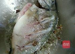 清炖鱼的做法图解4