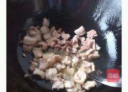 白菜炖粉条的做法图解4