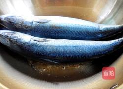 红烧鲅鱼的做法图解4