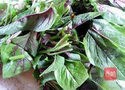 家菜＊清炒苋菜的做法图解2