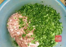 水煎烧麦的做法图解2