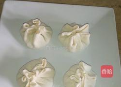 水煎烧麦的做法图解8