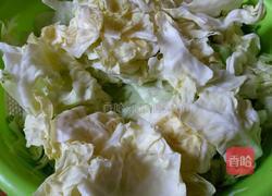 干煸手撕包菜的做法图解1