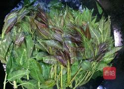 凉拌香椿的做法图解4