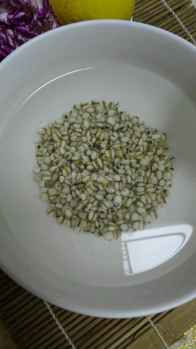 薏米洗干净然后用食用水浸泡3小时