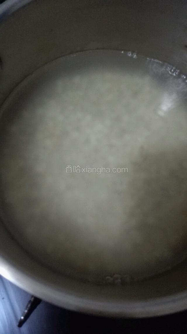 锅里加足够的水大火煮到牛奶状转到小火煮成稠白即关火