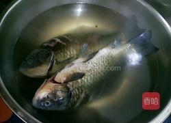 凉拌鲫鱼的做法图解19