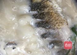 奶白鲫鱼汤的做法图解7