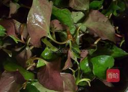 月子餐之折耳根炖鸡的做法图解1