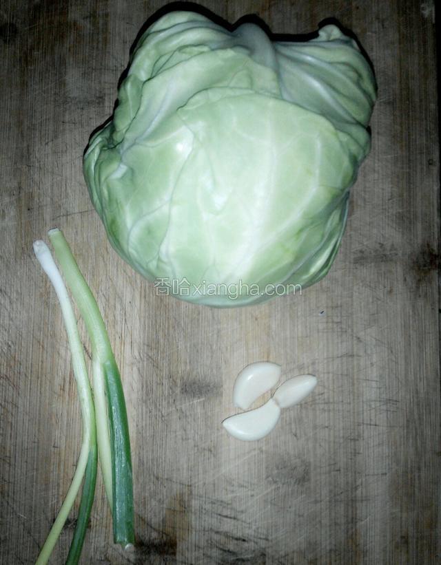 准备好食材：圆白菜、蒜、小葱